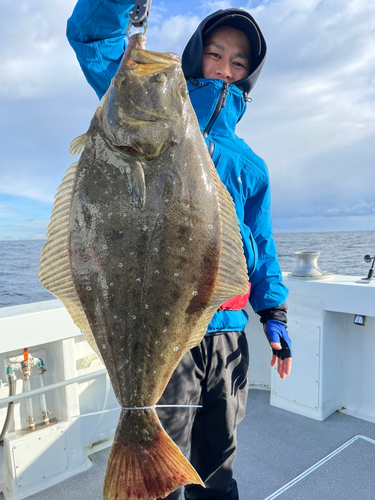 ヒラメの釣果