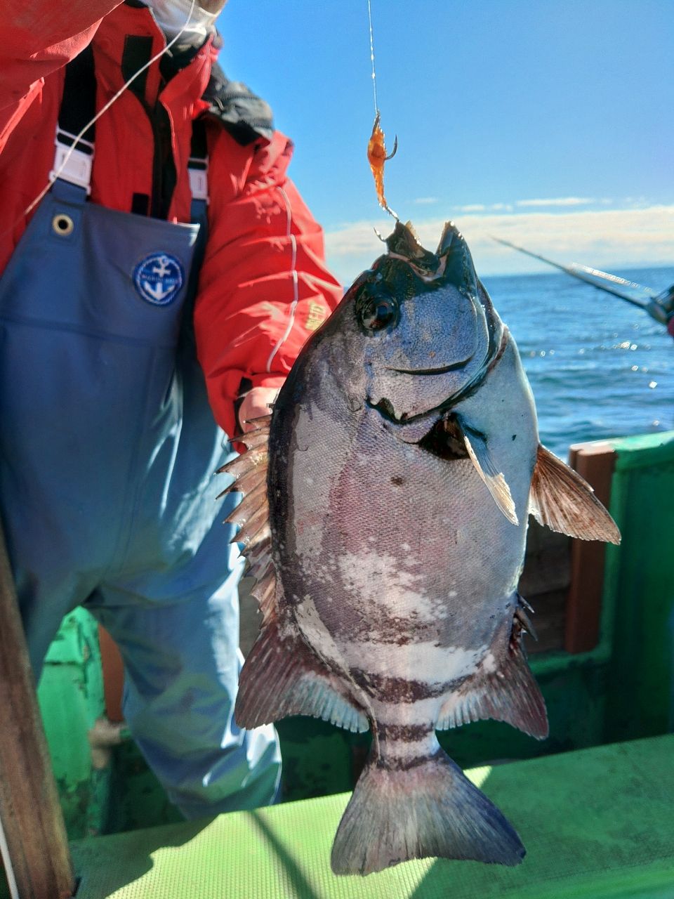 きゅーちゃんさんの釣果 1枚目の画像