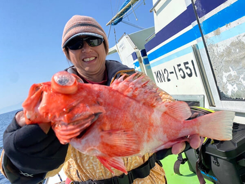 アコウダイの釣果