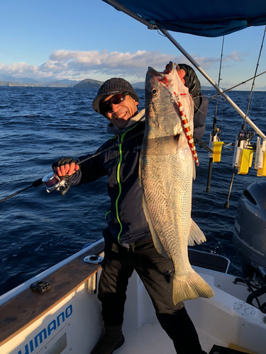 オオニベの釣果