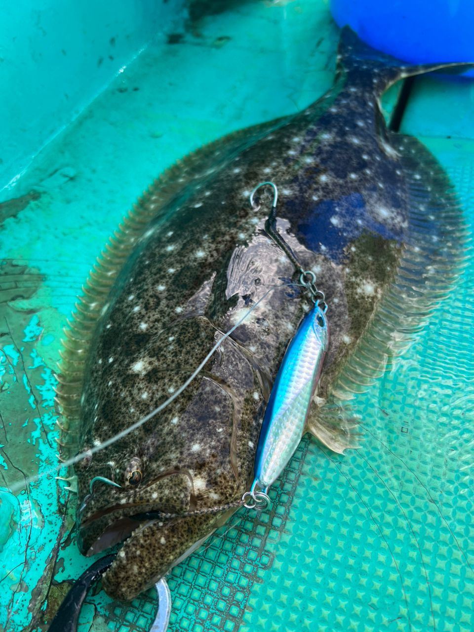 須江一樹さんの釣果 2枚目の画像