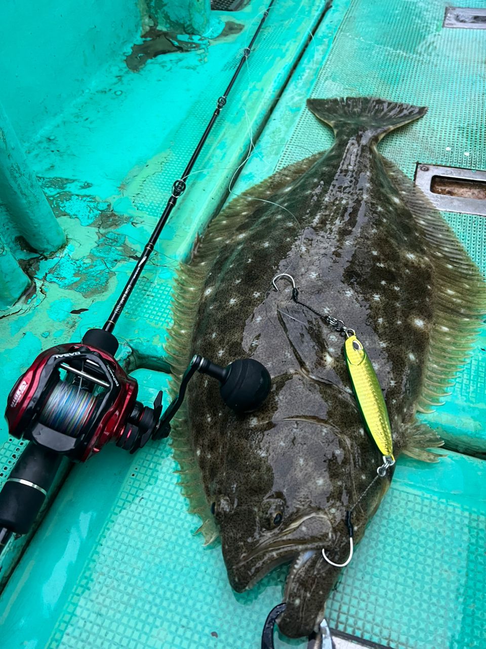 須江一樹さんの釣果 3枚目の画像