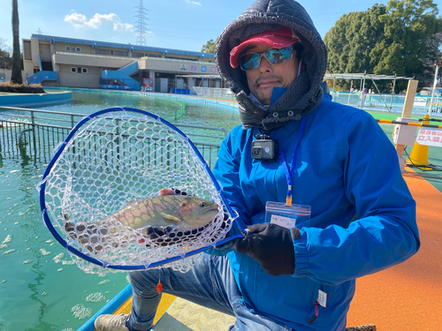 ニジマスの釣果