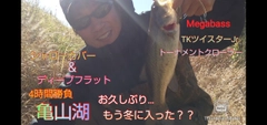 ブラックバスの釣果