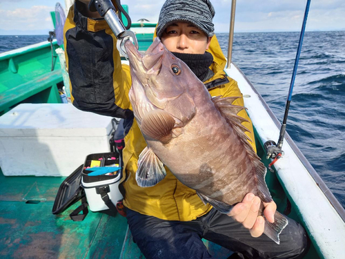 マハタの釣果