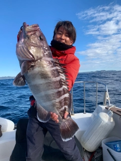 マハタの釣果