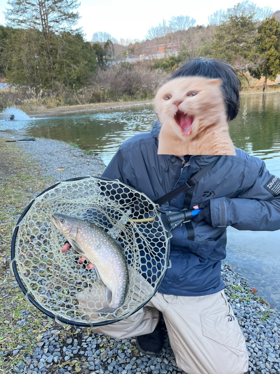 イワナ