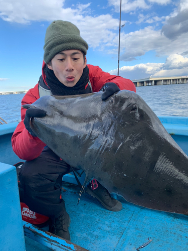 ツバクロエイの釣果