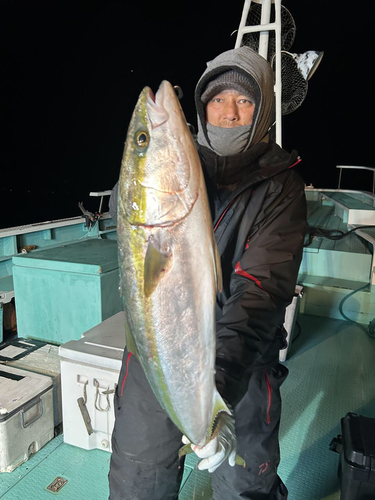 ブリの釣果