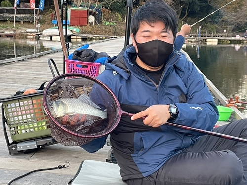 ヘラブナの釣果