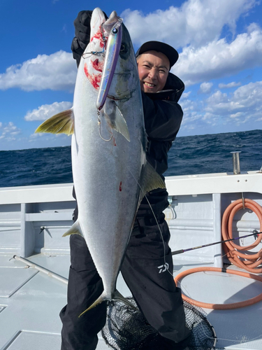 ヒラマサの釣果