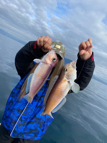 アマダイの釣果