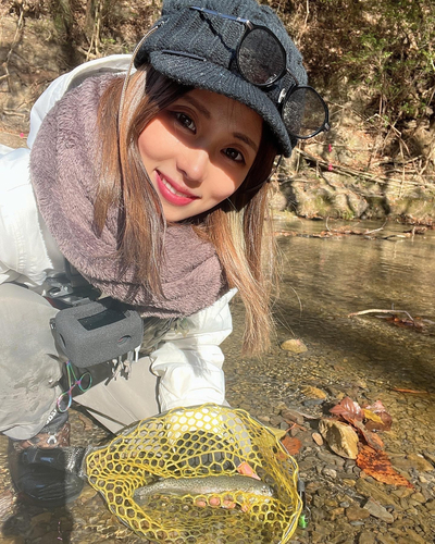 ニジマスの釣果