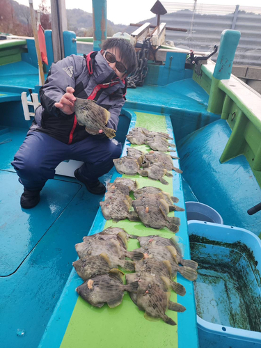 カワハギの釣果