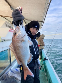 マダイの釣果