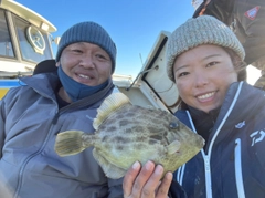 カワハギの釣果