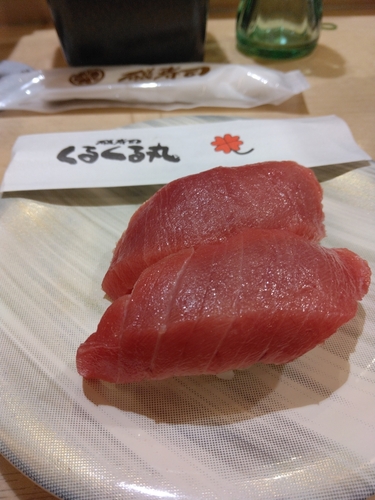 キハダマグロの釣果