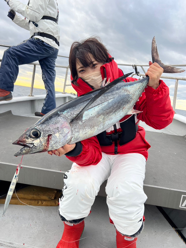 ビンチョウマグロの釣果