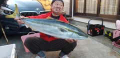 ワラサの釣果