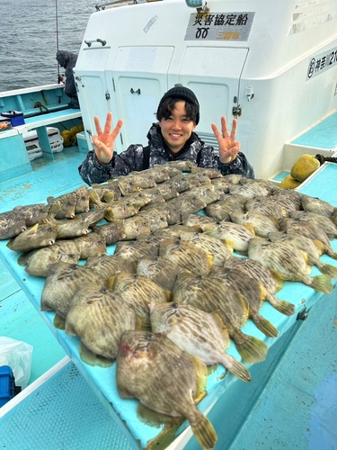 カワハギの釣果