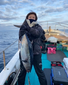 ビンチョウマグロの釣果