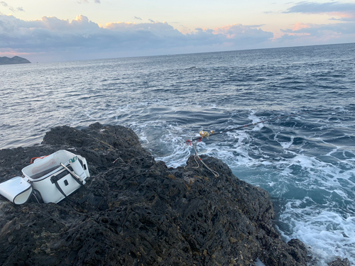 イラの釣果