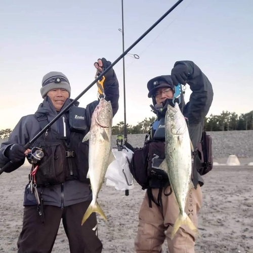 ワラサの釣果