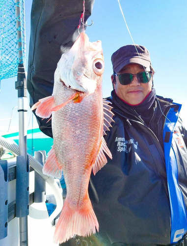 アカムツの釣果