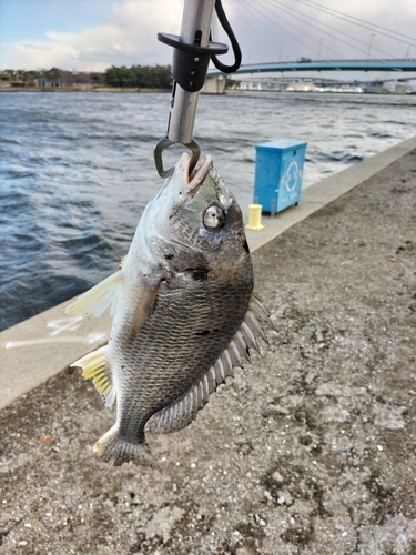 釣果