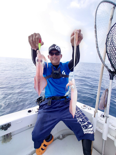 ケンサキイカの釣果