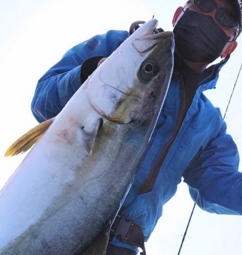 響灘で釣れたヒラマサの釣り・釣果情報 - アングラーズ | 釣果400万件