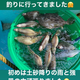 カワハギ