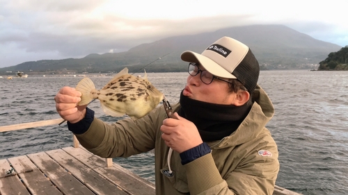 カワハギの釣果