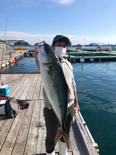 ヒラマサの釣果