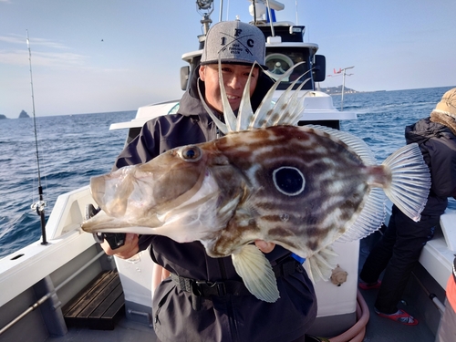 マトウダイの釣果