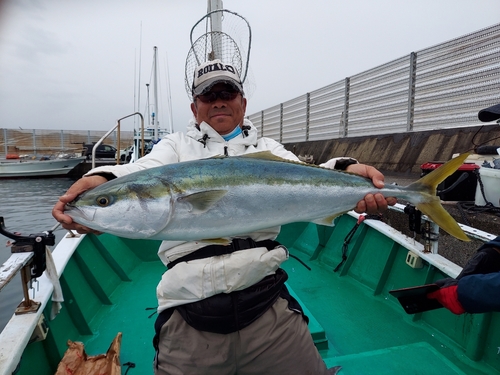 ブリの釣果