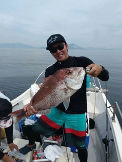 マダイの釣果