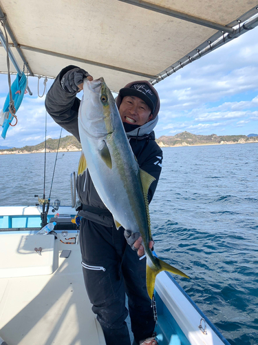 ブリの釣果