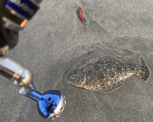 ソゲの釣果