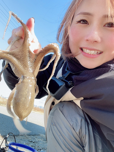 タコの釣果