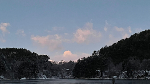 ワカサギの釣果