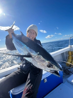 ビンチョウマグロの釣果