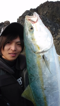 イナダの釣果