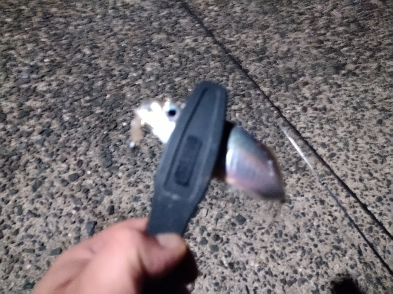 アジ
