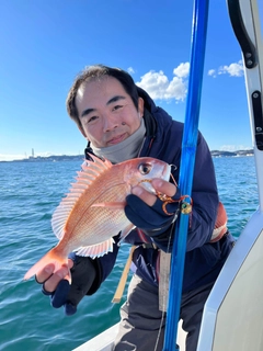 マダイの釣果