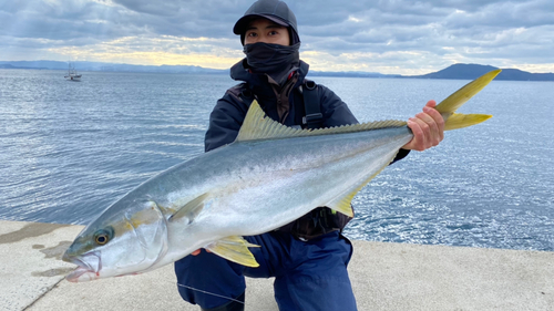 ヒラマサの釣果