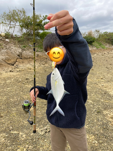 メッキの釣果