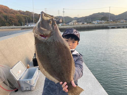 ヒラメの釣果