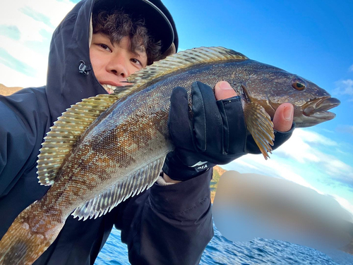 アイナメの釣果