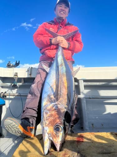 ビンチョウマグロの釣果